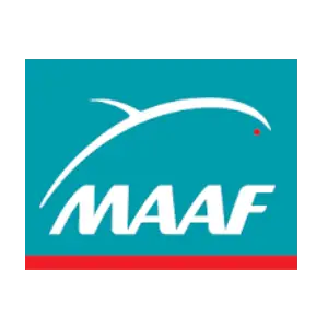 Logo maaf